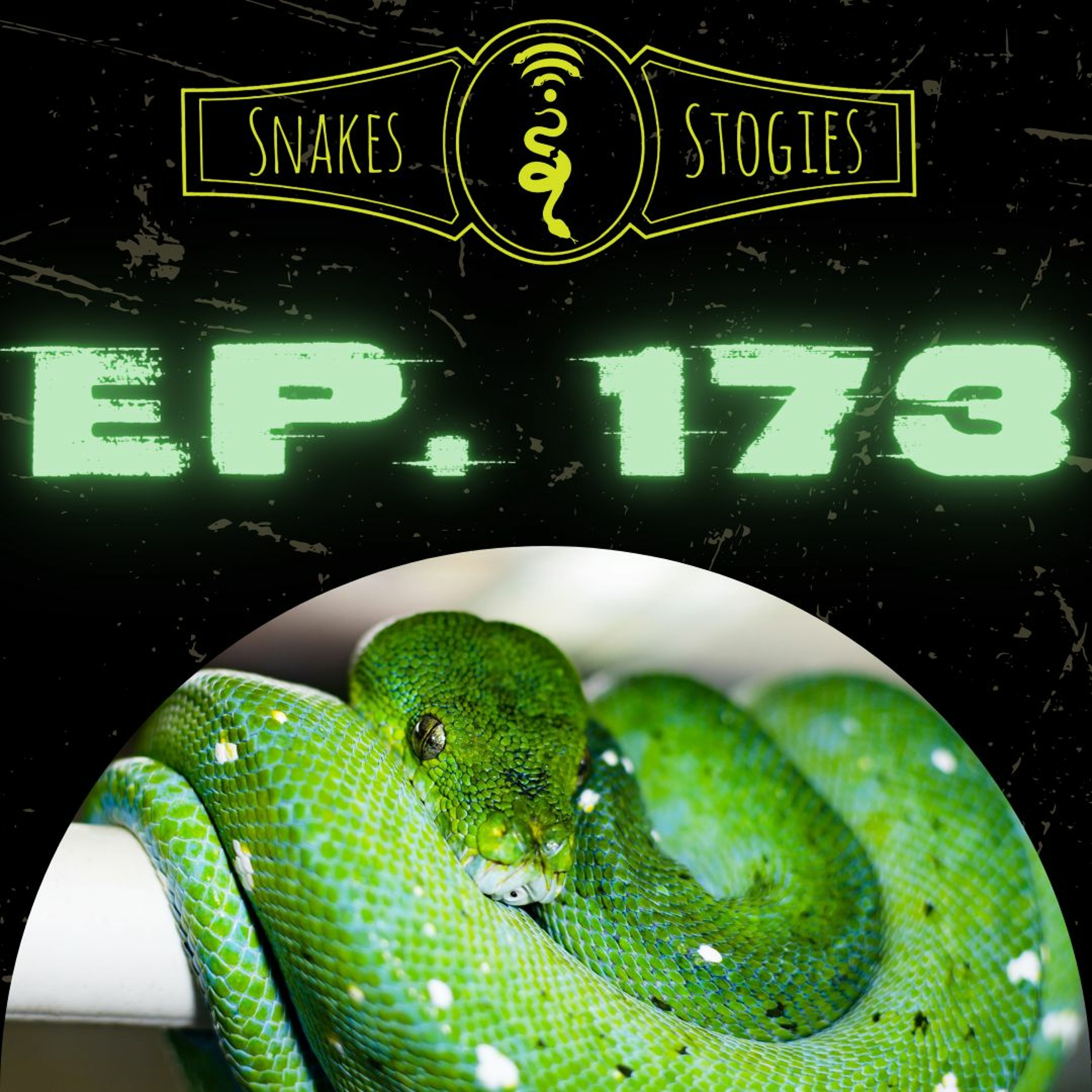 David Brahms | Snakes & Stogies Ep. 173