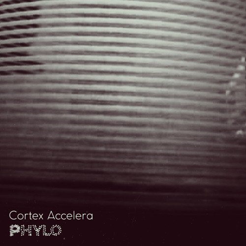Phylo
