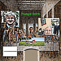 Prungis Crib agonie remix