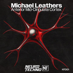 Michael Leathers - Anterior Mid-Cingulate Cortex (Radio Edit)