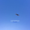 Soaring Soaring