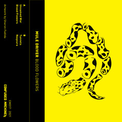 PREMIERE: Mule Driver - Tunnels [Confused Machines]