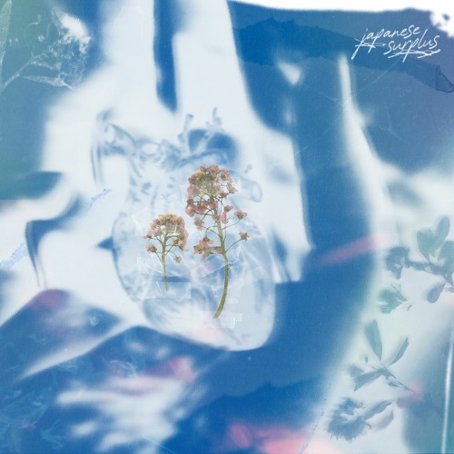 puso, palad (sana nga) - Japanese Surplus