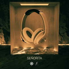 Besomorph - Señorita (ft. Veronica Bravo & Timmy Commerford) (8D Audio)