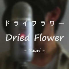 ドライフラワー (Dry Flower) - Yuuri | cover by Naats & Brandon