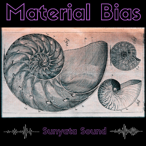 Material Bias