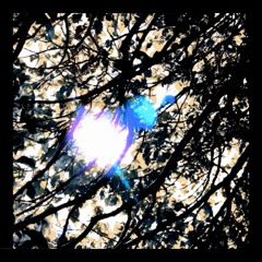 "Pity_" Feat. nate2002pucci Prod. Jesse Rack$on