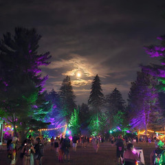 electric-trees.mp3