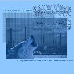 1972andesflightdisaster - vacuity