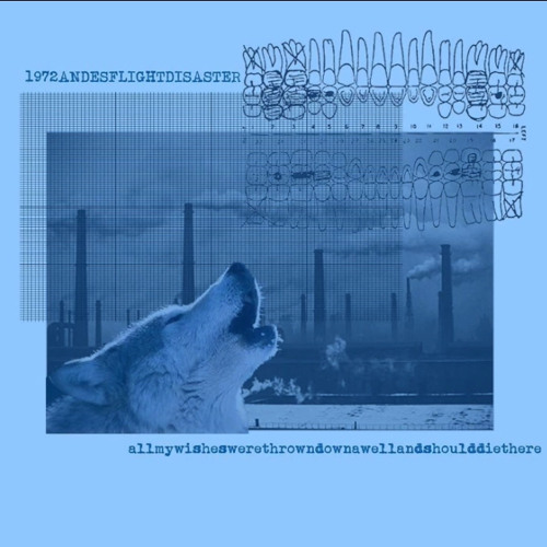 1972andesflightdisaster - vacuity