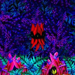 NINJA EXOTIC JOURNEY