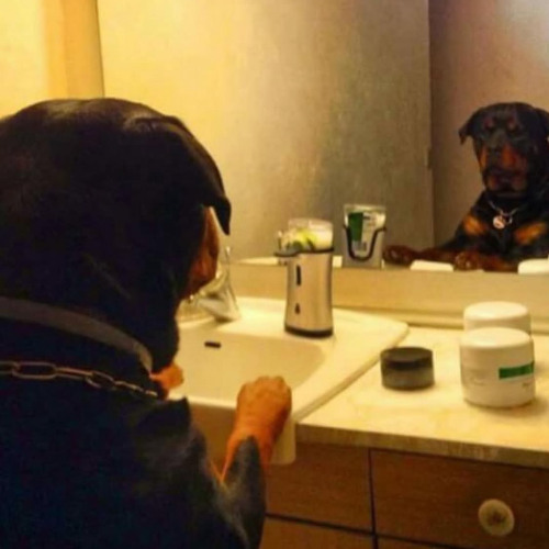 my forty eighth beat