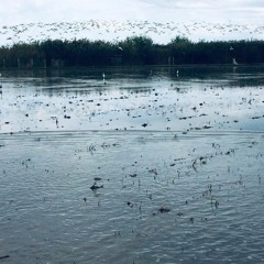 Another Day - Santi Perez