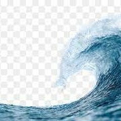 Born In the Ocean