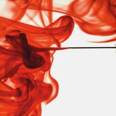 Back in Blood Freestyle - E.Marie (1)