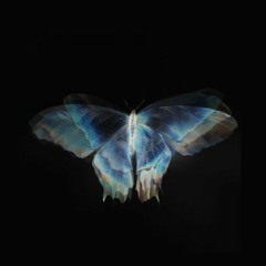 With-inst. ✩Kim Tae Ri, Nam Joo Hyuk, Bona, Choi Hyun Wook, Lee Joo Myung