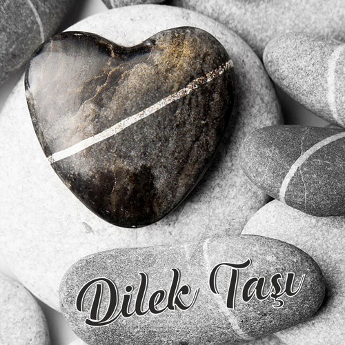 Dilek Taşı - Enstrümantal Cover