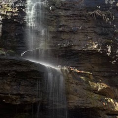 REC Live - 2024 - 08 - 27