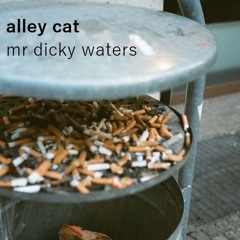 ALLEY CAT {demo}