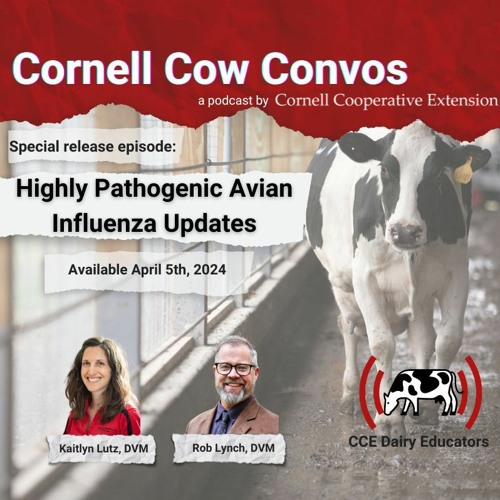 Highly Pathogenic Avian Influenza Updates Ep 8