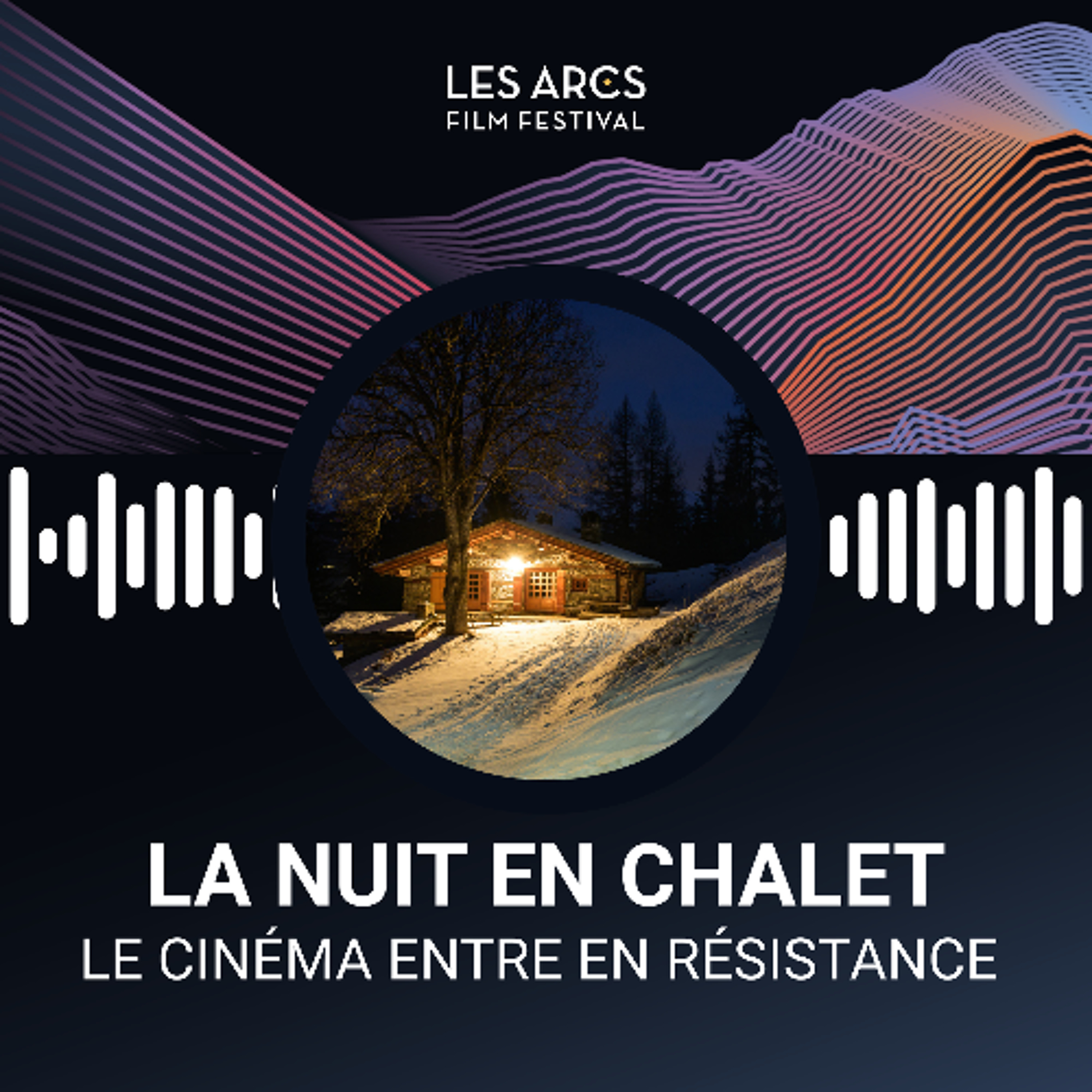 La nuit en chalet - Cinéma et la Démocratie episode artwork