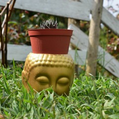 Explorando la montaña Cap1 - 2021 - 03 - 29