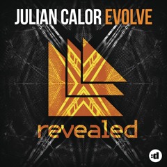 Evolve (Original Mix)