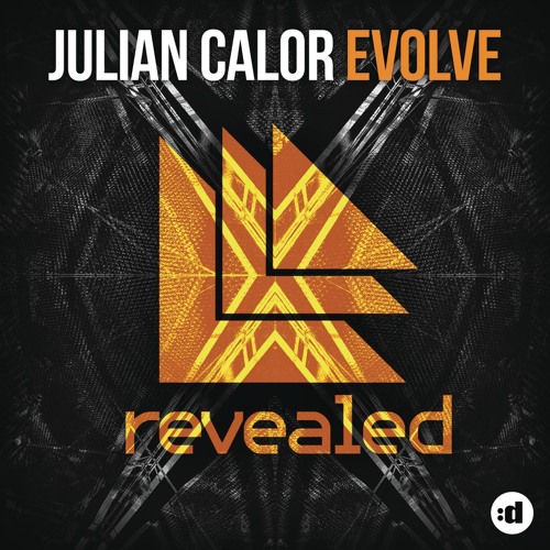 Evolve (Original Mix)