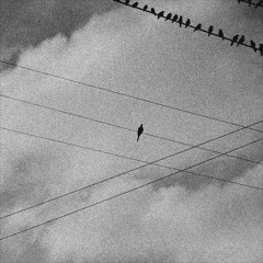 Sajama - Andamo' Alone (Slowed & Reverb)