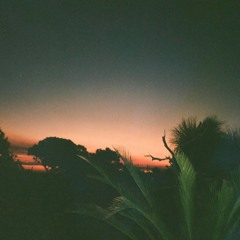 santa cruz feat. Lily Fangz