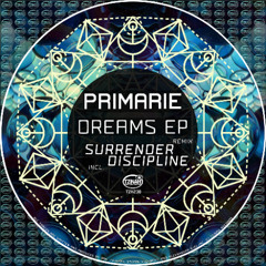 Primarie - A New Dream (Original Mix) Preview