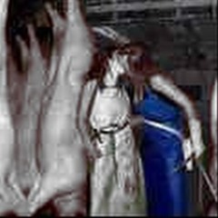 BURYYOUINMYHOODPARK(PROD.CUETE)