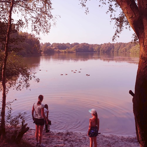 Mark Charlesworth - Little Victories