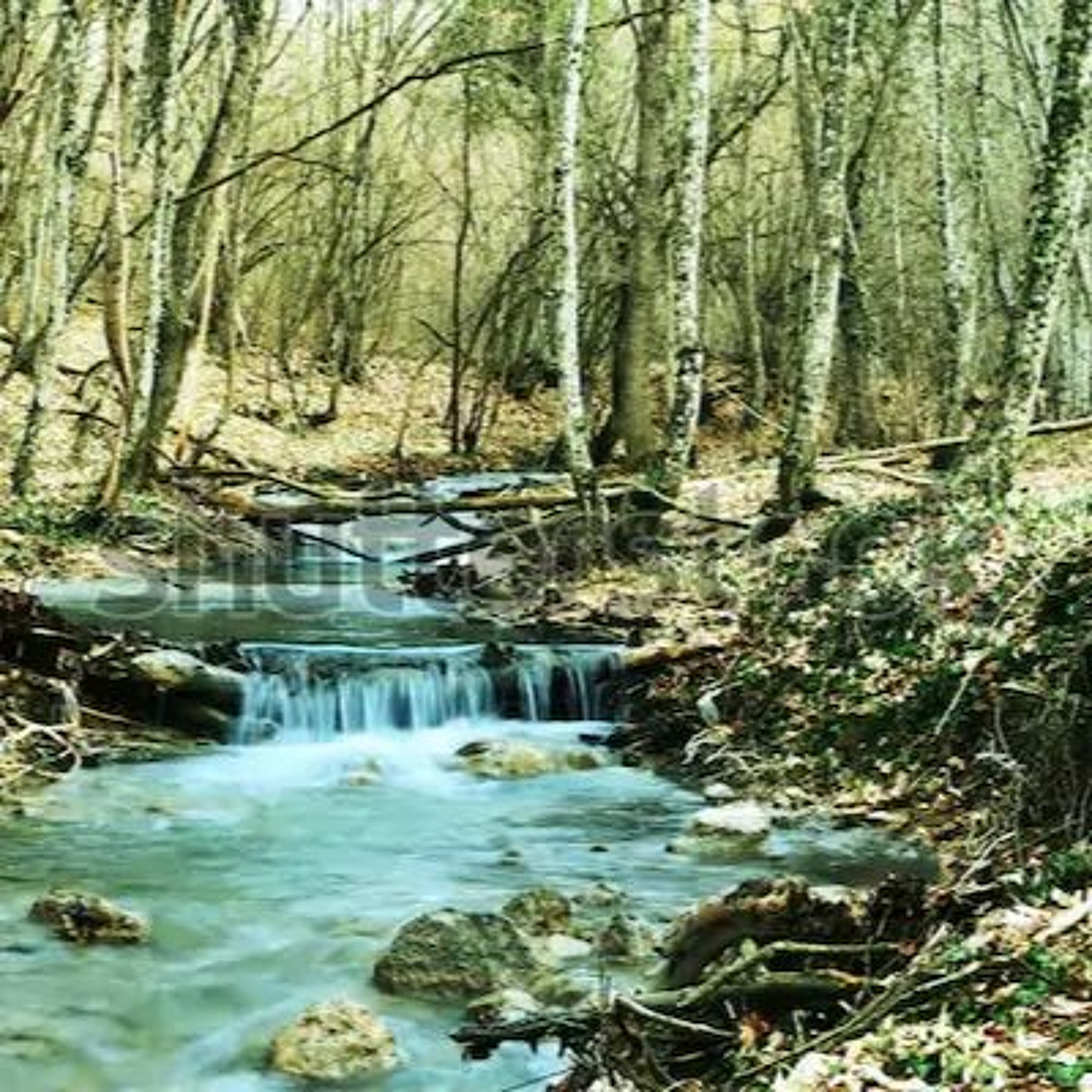 narrow river