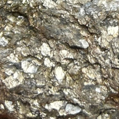 Grief Work Episode 6