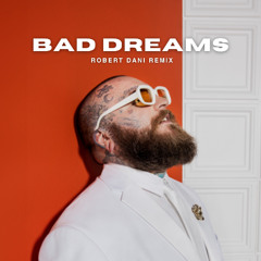 Bad Dreams (Robert Dani Remix)