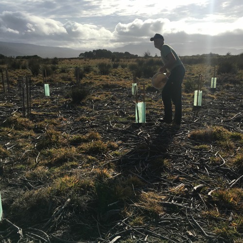 Seymour Wetlands Conservation Area Expands - SCAGI Interview with Mel Bush