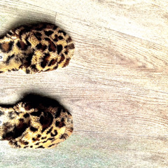 cheetah slides