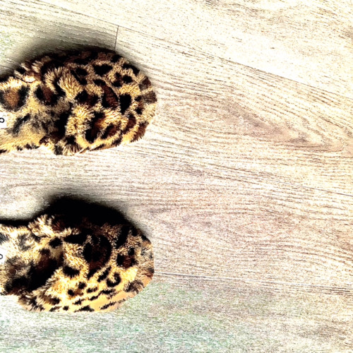 cheetah slides