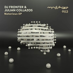 Premiere: DJ Fronter, Julian Collazos - Notorious (Oriignal Mix)