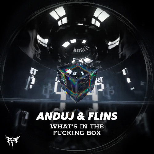 ANDUJ & FLINS - What's in the Fucking Box [Free Download]