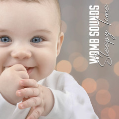 Baby Womb Rest Noise (feat. Gentle Instrumental Music Paradise)