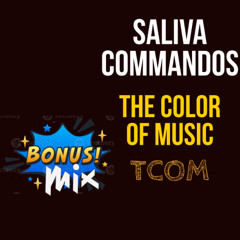 The Color Of Music-  Bonus Mix