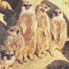 Sintérrap-antifinalminusz3.mp3