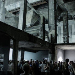 goes to berghain once