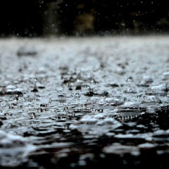 Acid rain