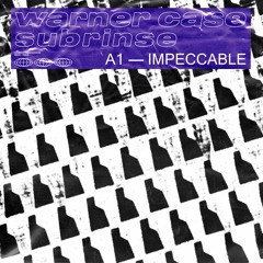 warner case x Subrinse - impeccable (Feat. BESHOOTiN) [OUT NOW]