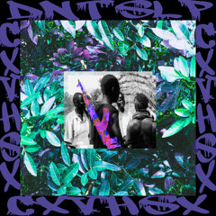 cxvhsx