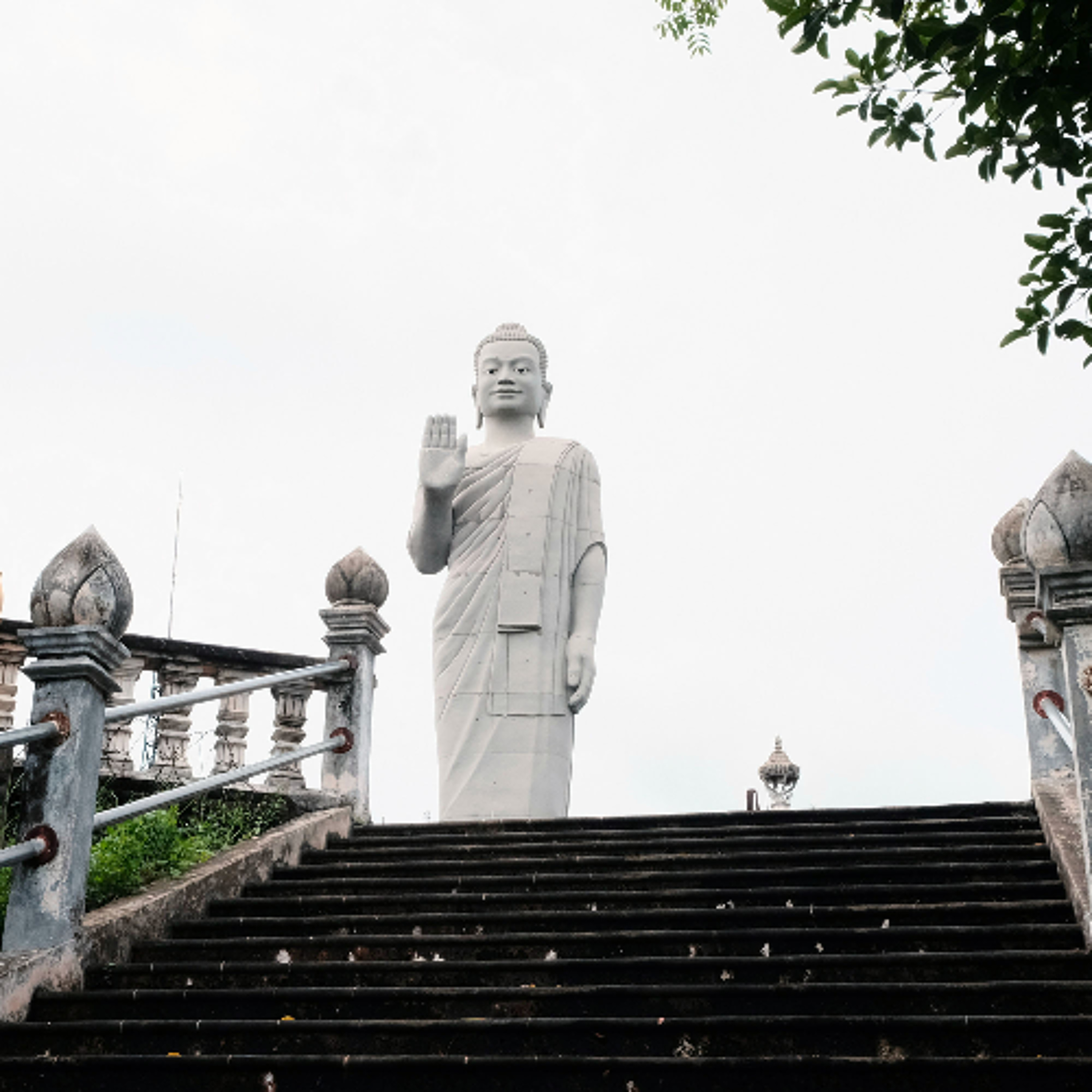Associazione Kalyanamitta: Meditazione, Mindfulness, Buddhismo