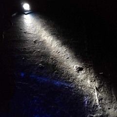 King Imagine  & Bruno Gussoni - Delikatessen